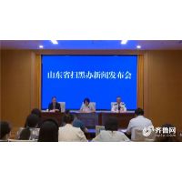 山東“零容忍”嚴厲打擊整治各類涉礦違法行為 查處案件263件